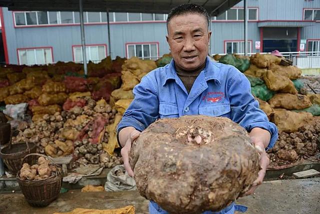 南宫山富硒茶介绍（南宫山富硒茶多少钱）-硒宝网