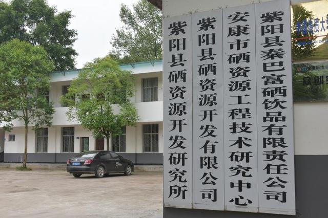 南宫山富硒茶介绍（南宫山富硒茶多少钱）-硒宝网