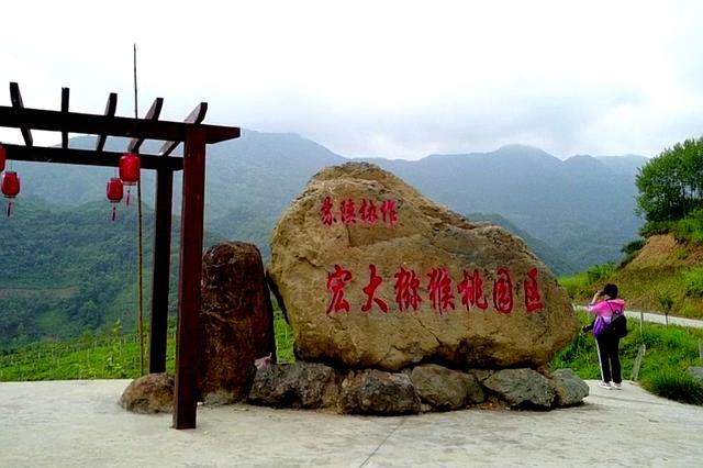 南宫山富硒茶介绍（南宫山富硒茶多少钱）-硒宝网