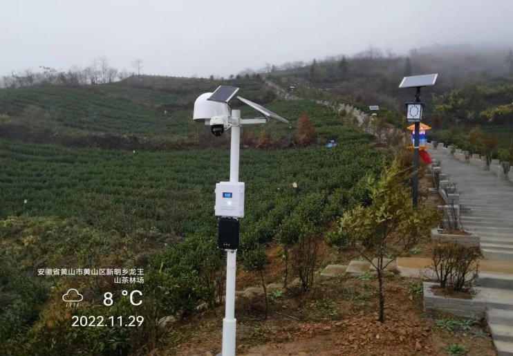 富硒茶抑制癌细胞(抑制癌细胞的茶)-硒宝网