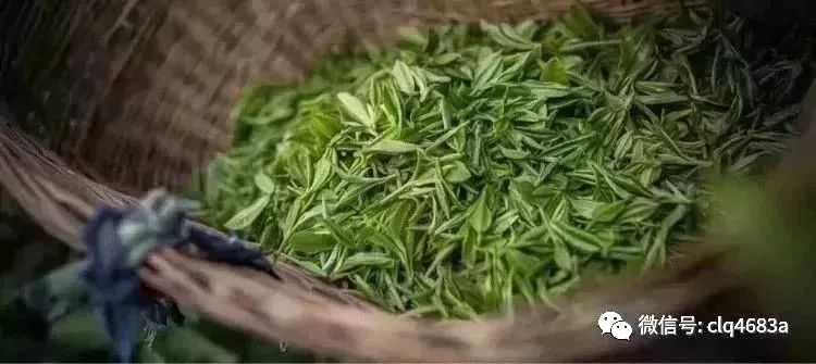 富硒茶的品质特点（茶叶的富硒标准）-硒宝网