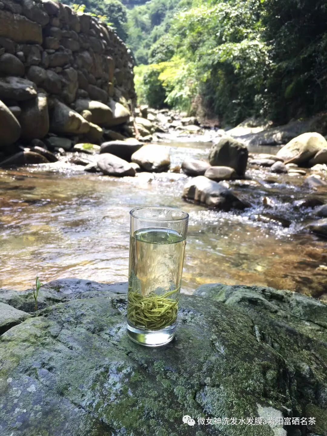 富硒茶的品质特点（茶叶的富硒标准）-硒宝网