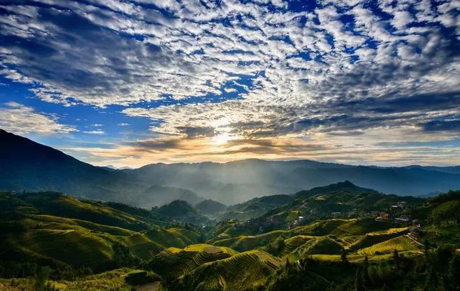 富硒茶的品质特点（富硒茶叶硒含量标准）-硒宝网