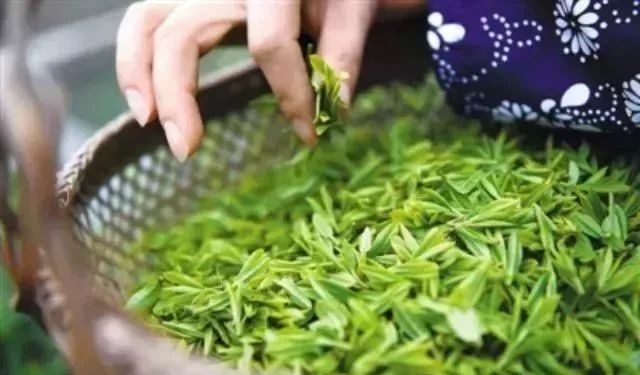 富硒茶的品质特点（富硒茶叶硒含量标准）-硒宝网