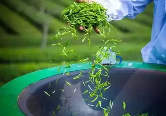 富硒茶的品质特点（富硒茶叶硒含量标准）-硒宝网