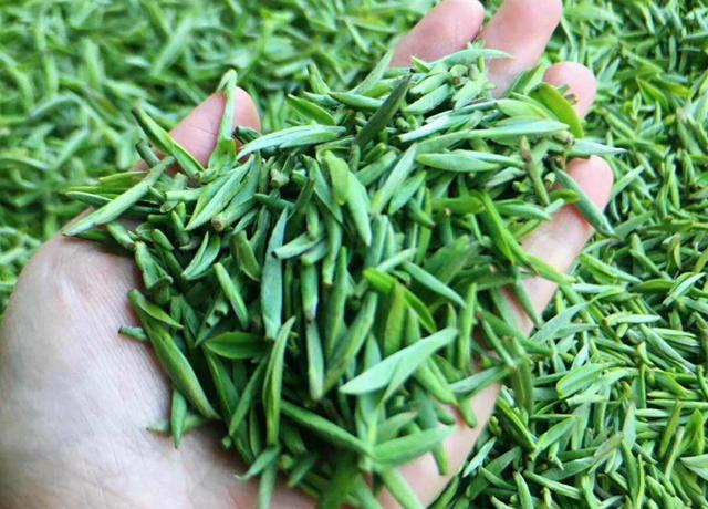 湖北富硒茶的种类（湖北富硒茶有什么功效）-硒宝网