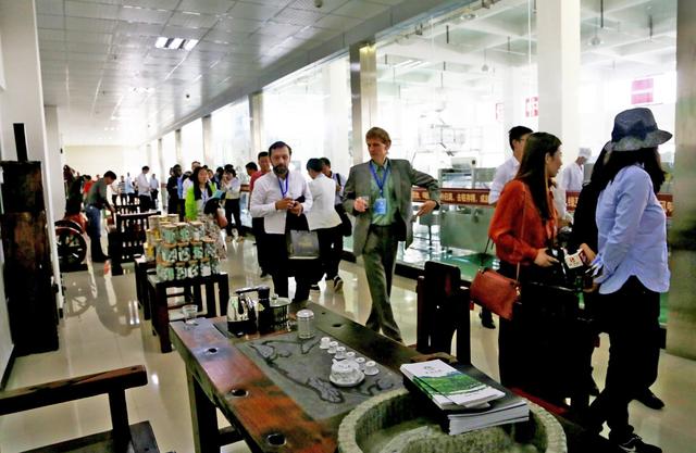 湖北富硒茶的种类（湖北富硒茶有什么功效）-硒宝网