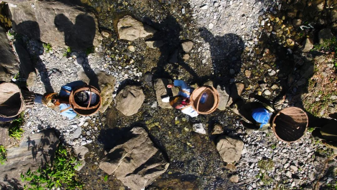 湖北富硒茶哪里买（湖北富硒茶是绿茶吗）-硒宝网