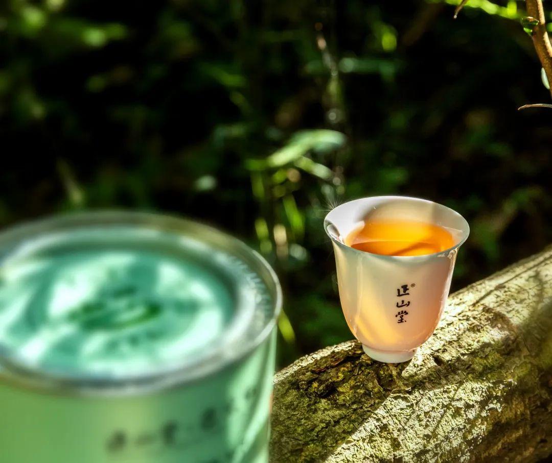 湖北富硒茶哪里买（湖北富硒茶是绿茶吗）-硒宝网