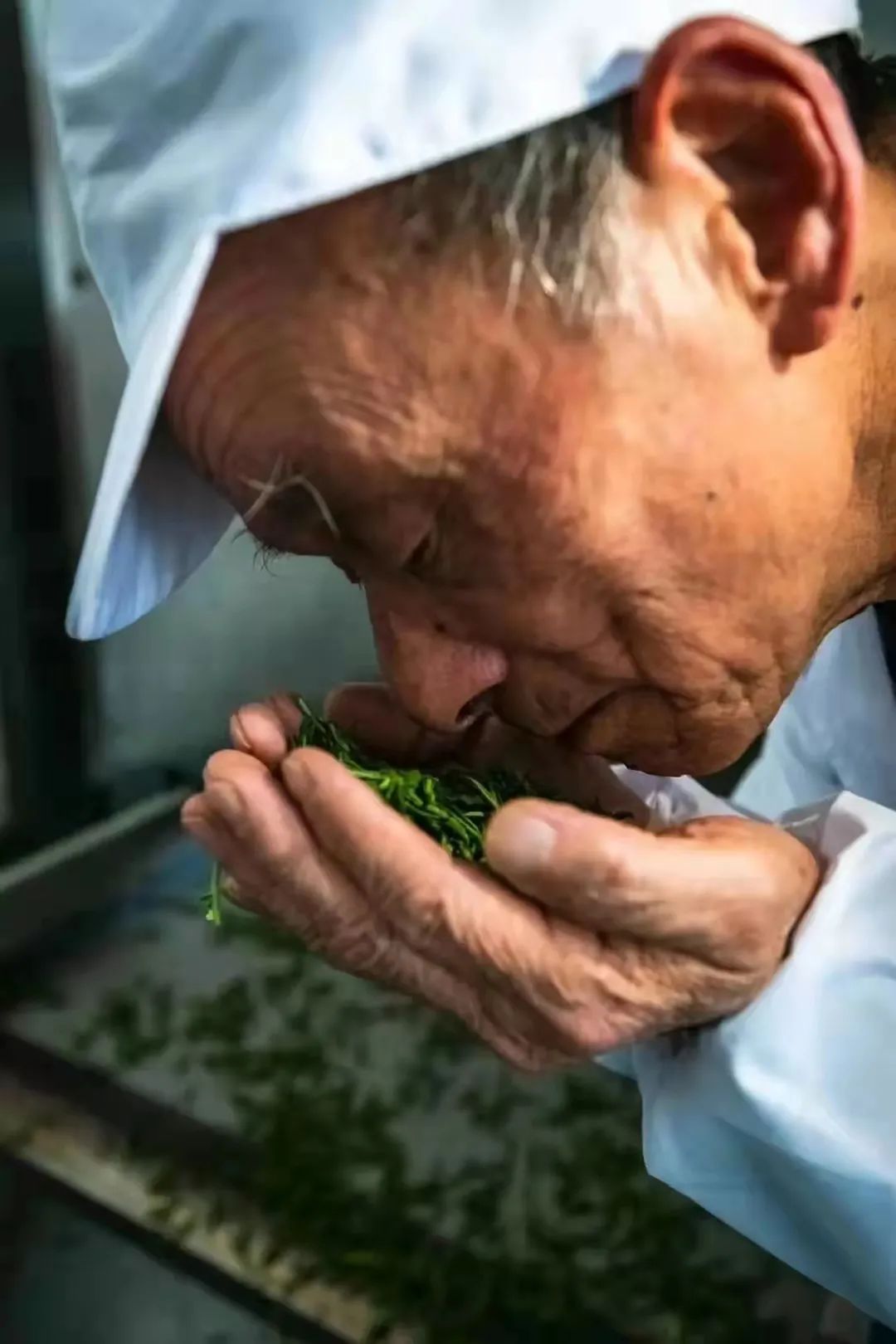 恩施富硒茶的品质(恩施富硒茶厂)-硒宝网