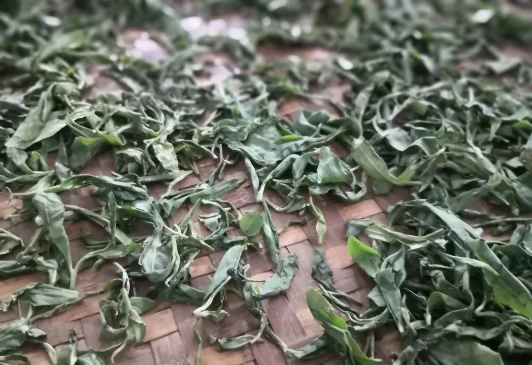 紫阳富硒茶啥档次(紫阳富硒茶核心产区)-硒宝网