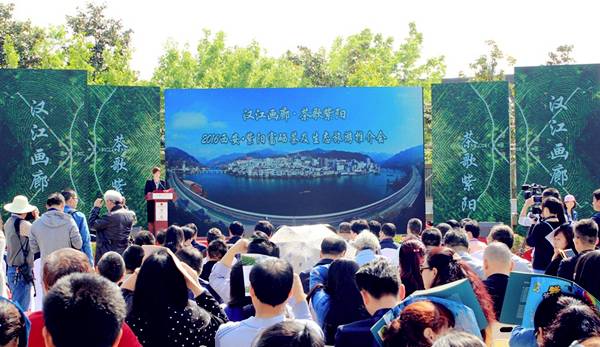 富硒紫阳茶的功能(紫阳富硒茶的制作过程)-硒宝网