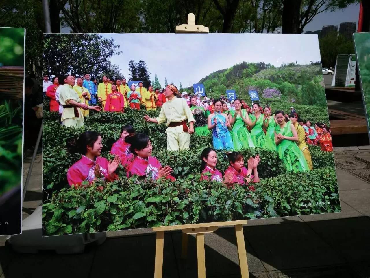 富硒紫阳茶的功能(紫阳富硒茶的制作过程)-硒宝网