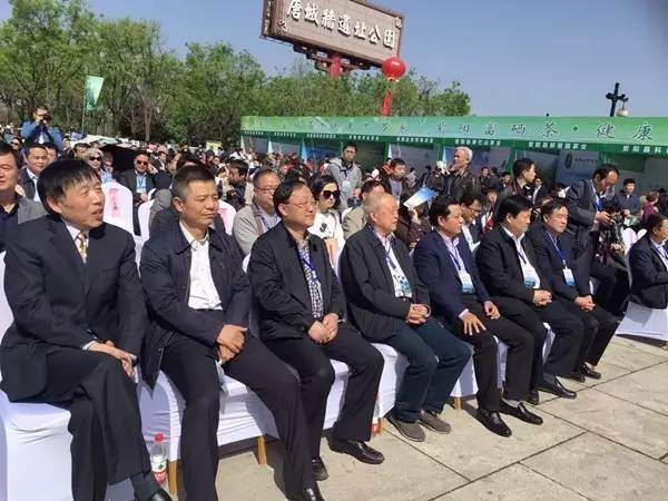 富硒紫阳茶的功能(紫阳富硒茶的制作过程)-硒宝网