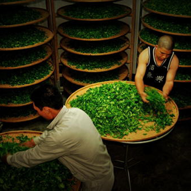 水金龟有机富硒茶（恩施富硒茶属于什么茶）-硒宝网