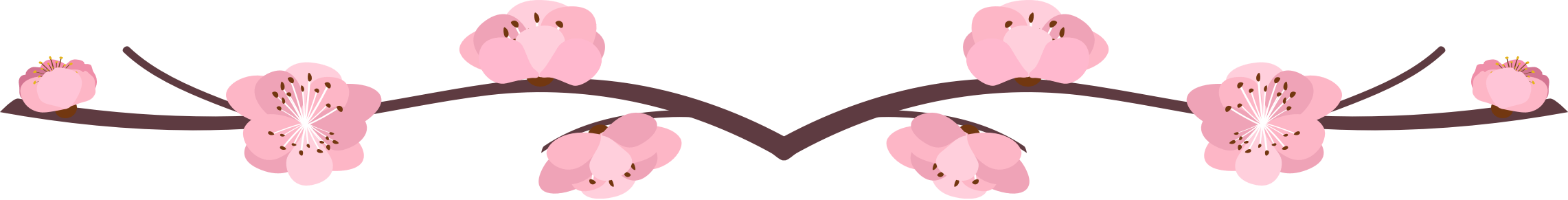 紫阳富硒茶的优势(紫阳富硒茶好坏辨别)-硒宝网