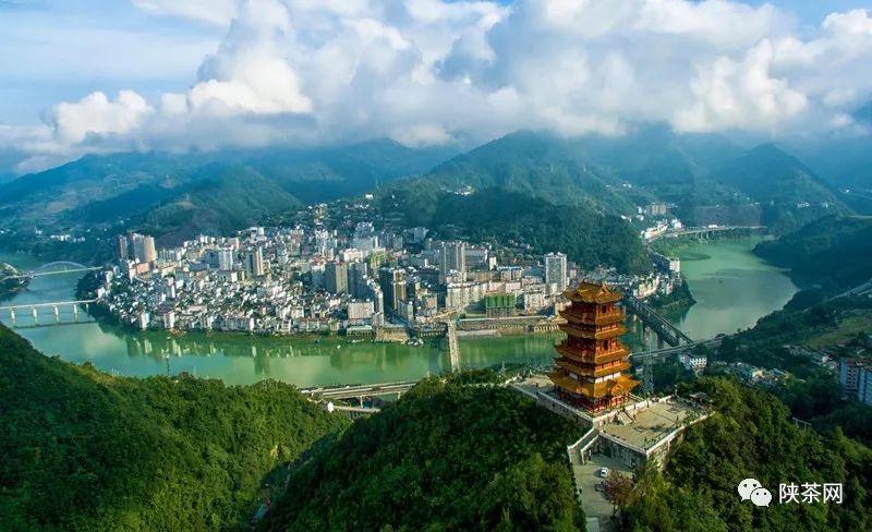 紫阳富硒茶的优势(紫阳富硒茶文化)-硒宝网