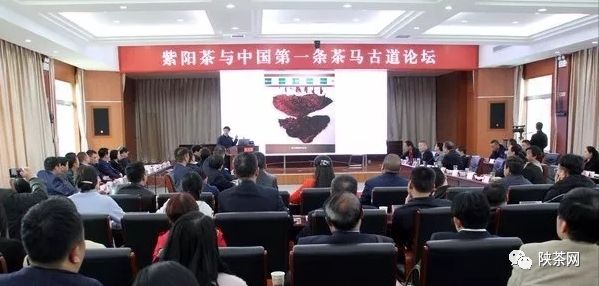 紫阳富硒茶的优势(紫阳富硒茶文化)-硒宝网