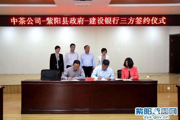 紫阳富硒茶的优势(紫阳富硒茶文化)-硒宝网