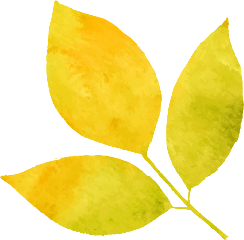 富硒有机茶怎么喝(富硒茶具)-硒宝网