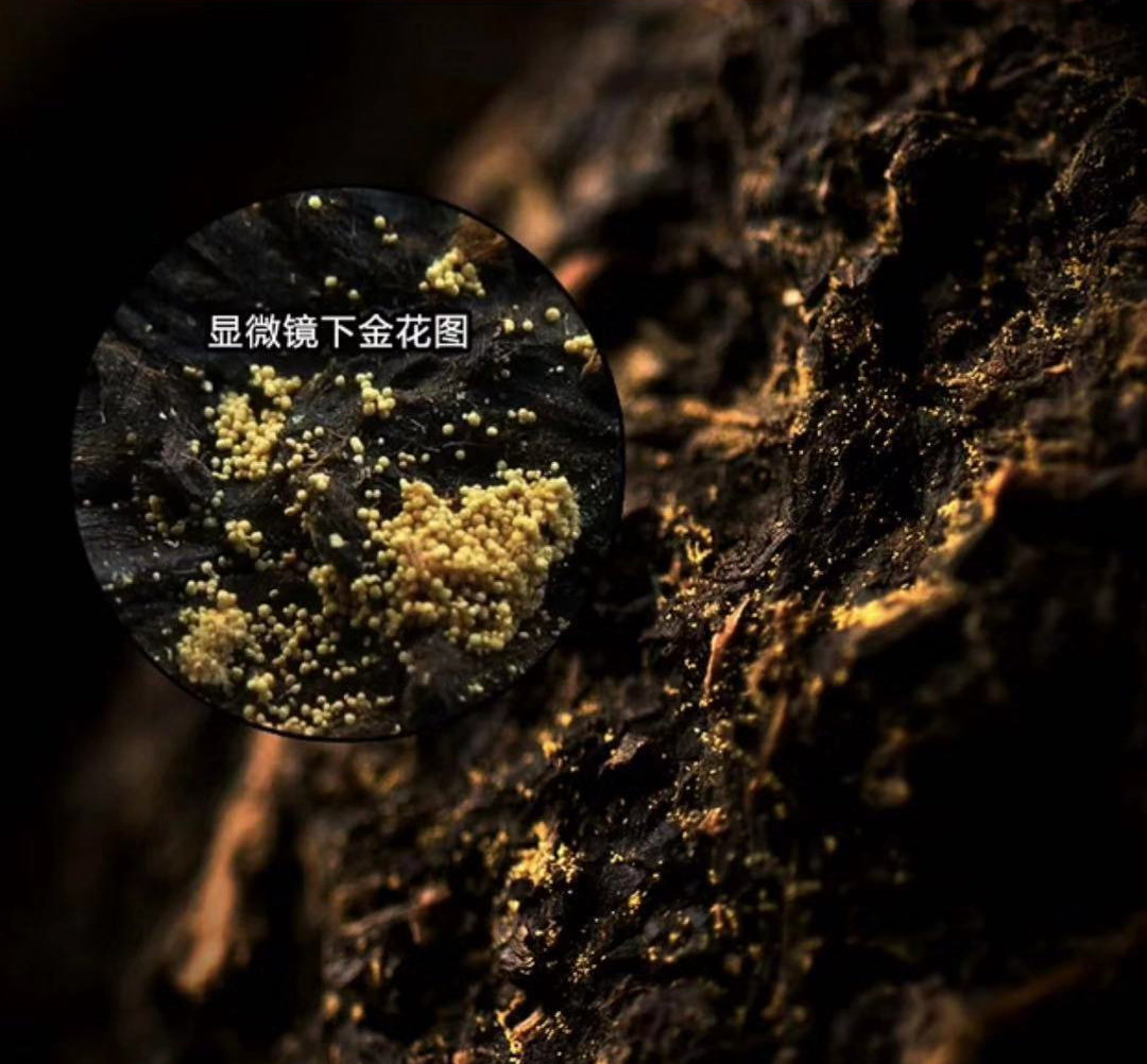 富硒茶是什么香味(香味茶富硒是什么茶)-硒宝网