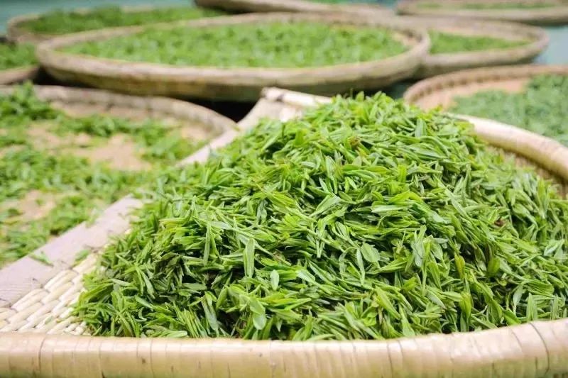 富硒紫阳茶的功能(紫阳富硒茶硒含量)-硒宝网