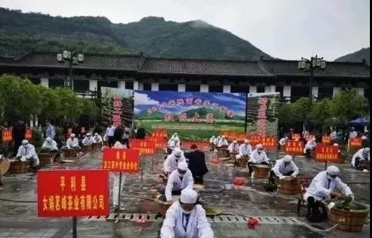 富硒紫阳茶的功能(紫阳富硒茶硒含量)-硒宝网