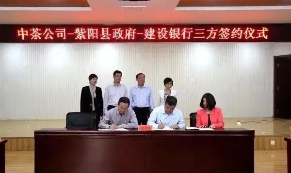 富硒紫阳茶的功能(紫阳富硒茶硒含量)-硒宝网