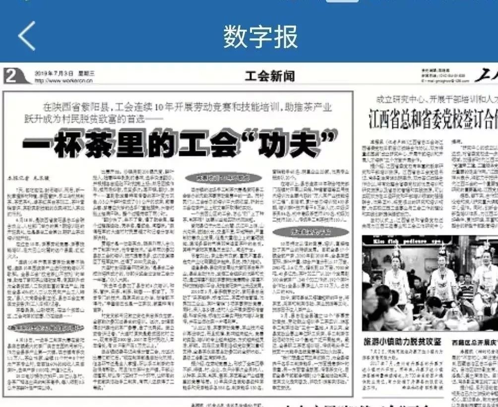 富硒紫阳茶的功能(紫阳富硒茶硒含量)-硒宝网