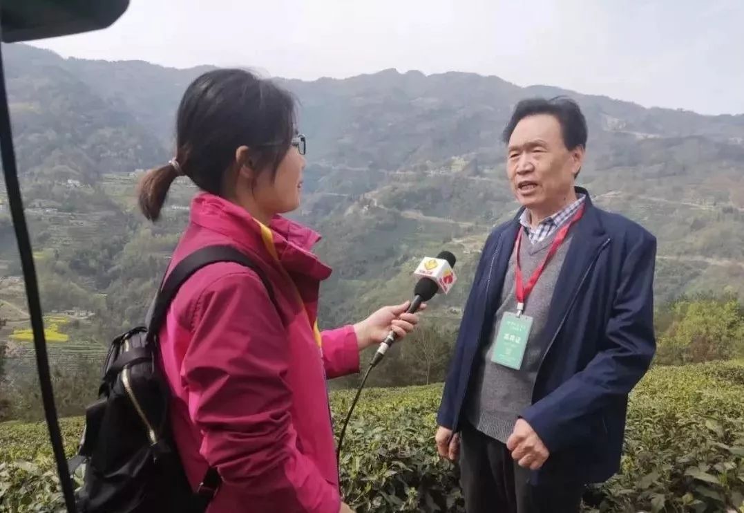 富硒紫阳茶的功能(紫阳富硒茶硒含量)-硒宝网