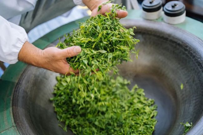 清冽的富硒茶工厂(安康富硒茶加工工艺)-硒宝网