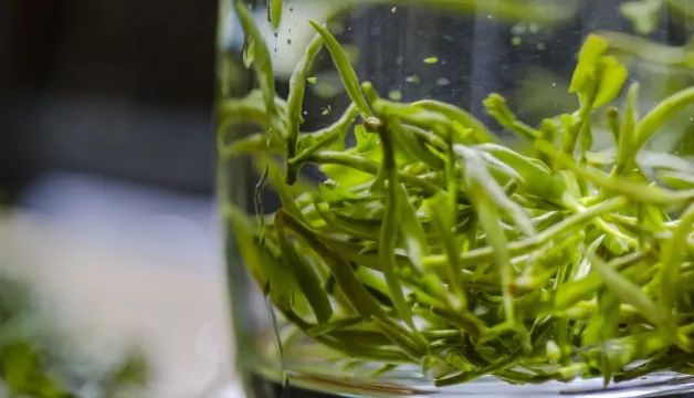 清冽的富硒茶工厂(安康富硒茶加工工艺)-硒宝网