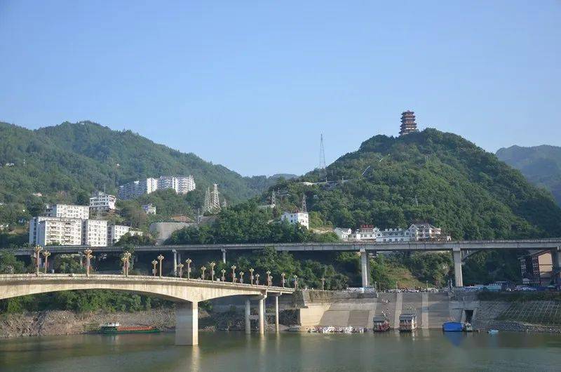 紫阳富硒茶的诗句（紫阳茶的诗）-硒宝网