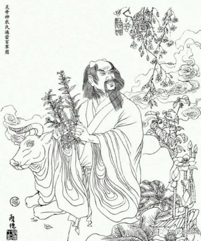 紫阳富硒茶的诗句（紫阳茶的诗）-硒宝网