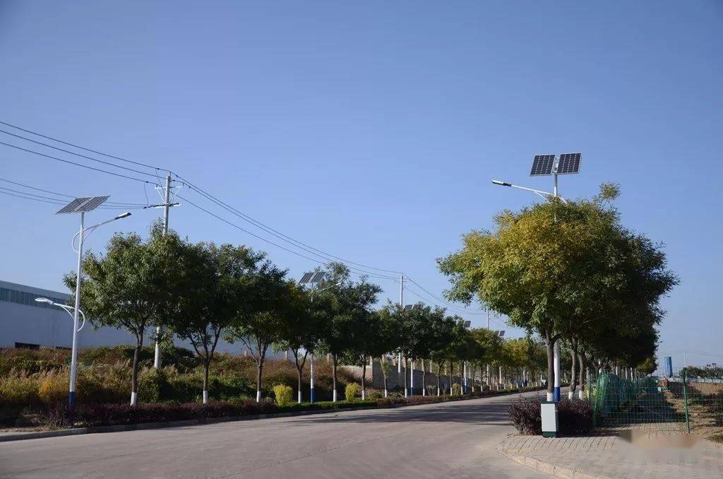 紫阳富硒茶的诗句（紫阳茶的诗）-硒宝网