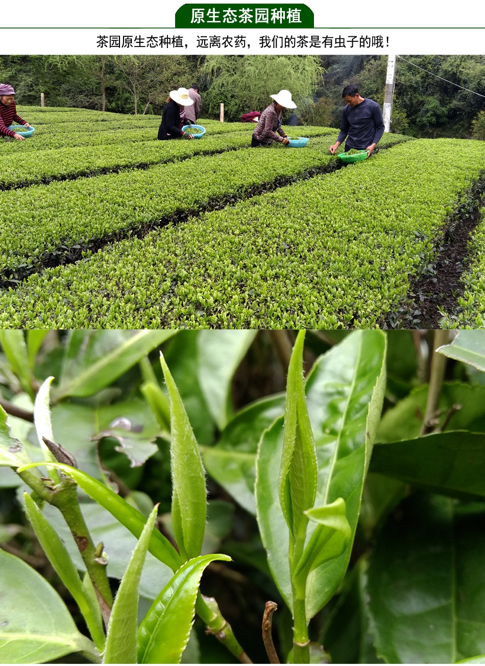 富硒茶在哪里购买（富硒茶产品的市场分析）-硒宝网