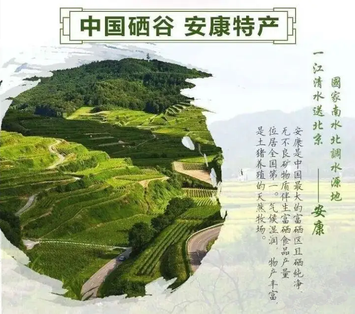 为什么富硒茶沉底（茶叶富硒）-硒宝网