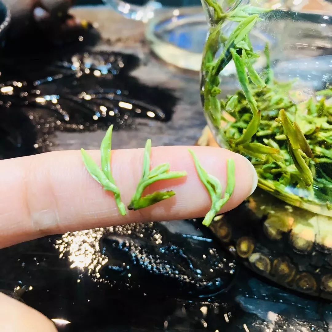 好喝的富硒茶玉露(喝茶玉露富硒好吗)-硒宝网