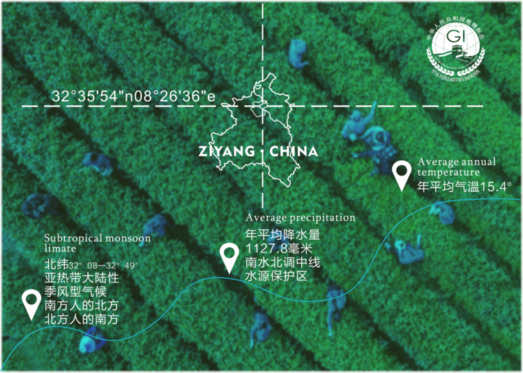 安康牛蹄镇富硒茶(安康富硒茶主要产自哪里)-硒宝网