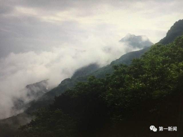 安康牛蹄镇富硒茶(陕西安康牛蹄乡)-硒宝网