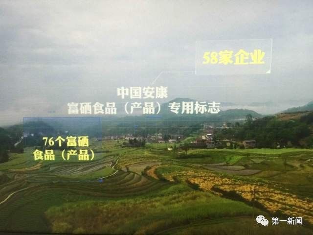 安康牛蹄镇富硒茶(陕西安康牛蹄乡)-硒宝网