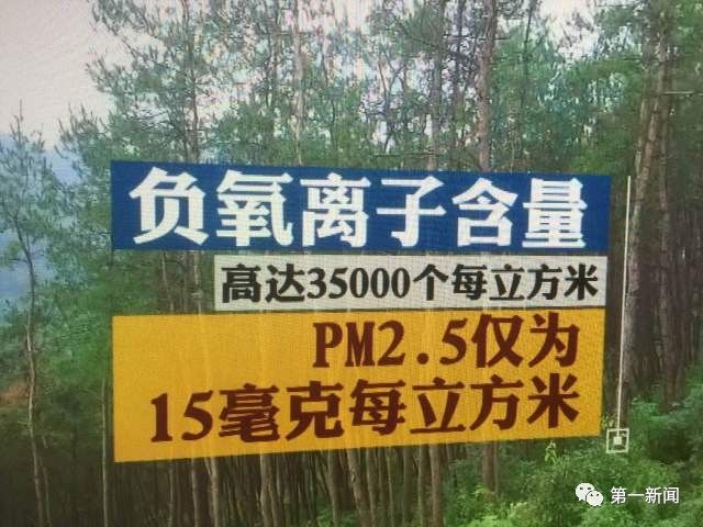 安康牛蹄镇富硒茶(陕西安康牛蹄乡)-硒宝网