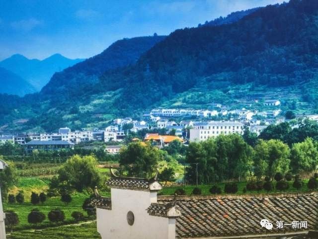 安康牛蹄镇富硒茶(陕西安康牛蹄乡)-硒宝网