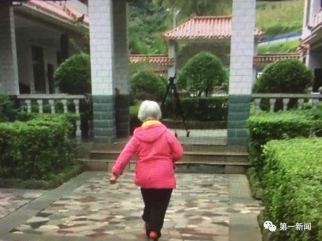 安康牛蹄镇富硒茶(陕西安康牛蹄乡)-硒宝网