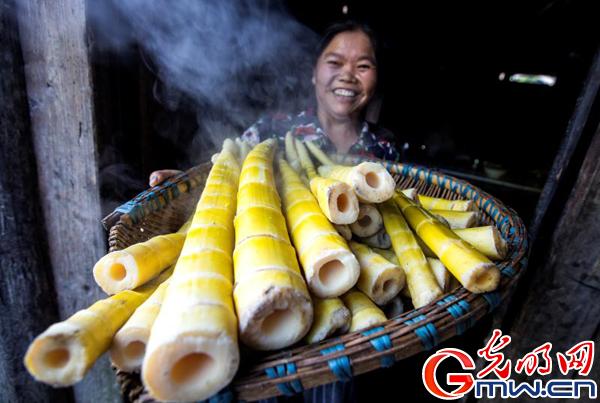 酉阳凤阳富锌硒茶(凤冈富锌富硒茶)-硒宝网