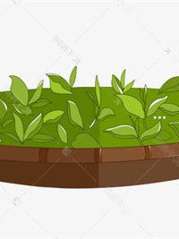 富硒茶多久有效果(效果茶富硒有哪些品牌)-硒宝网