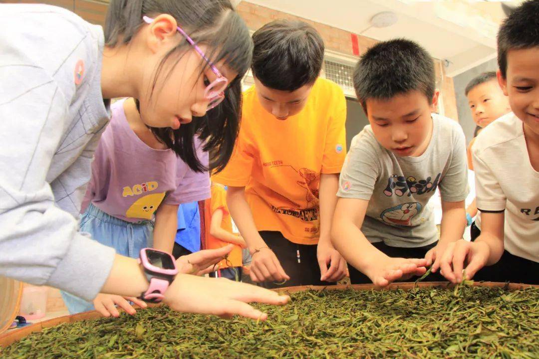 有名的富硒茶公司(富硒茶庄)-硒宝网