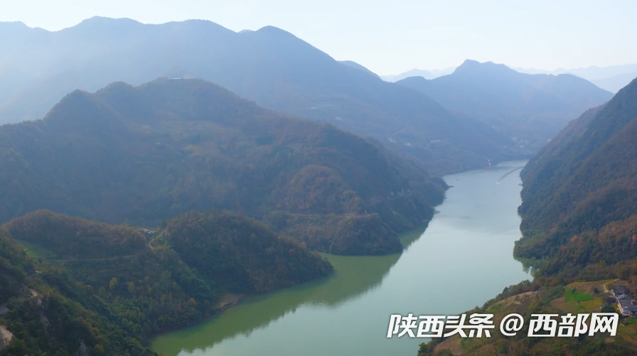 紫阳富硒茶的来历（紫阳富硒茶历史）-硒宝网