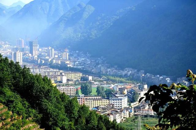 高山富硒茶向阳春（高山硒茶价格）-硒宝网