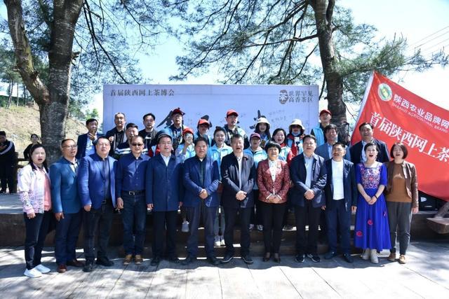 高山富硒茶向阳春（高山硒茶价格）-硒宝网